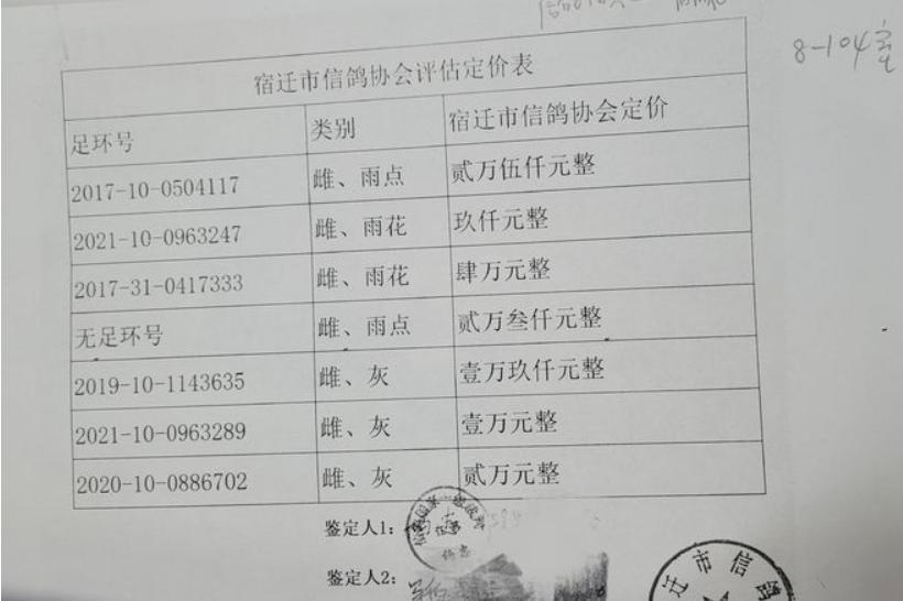 跟赛鸽比赛相比，世界杯*球赌**只能算小场面？