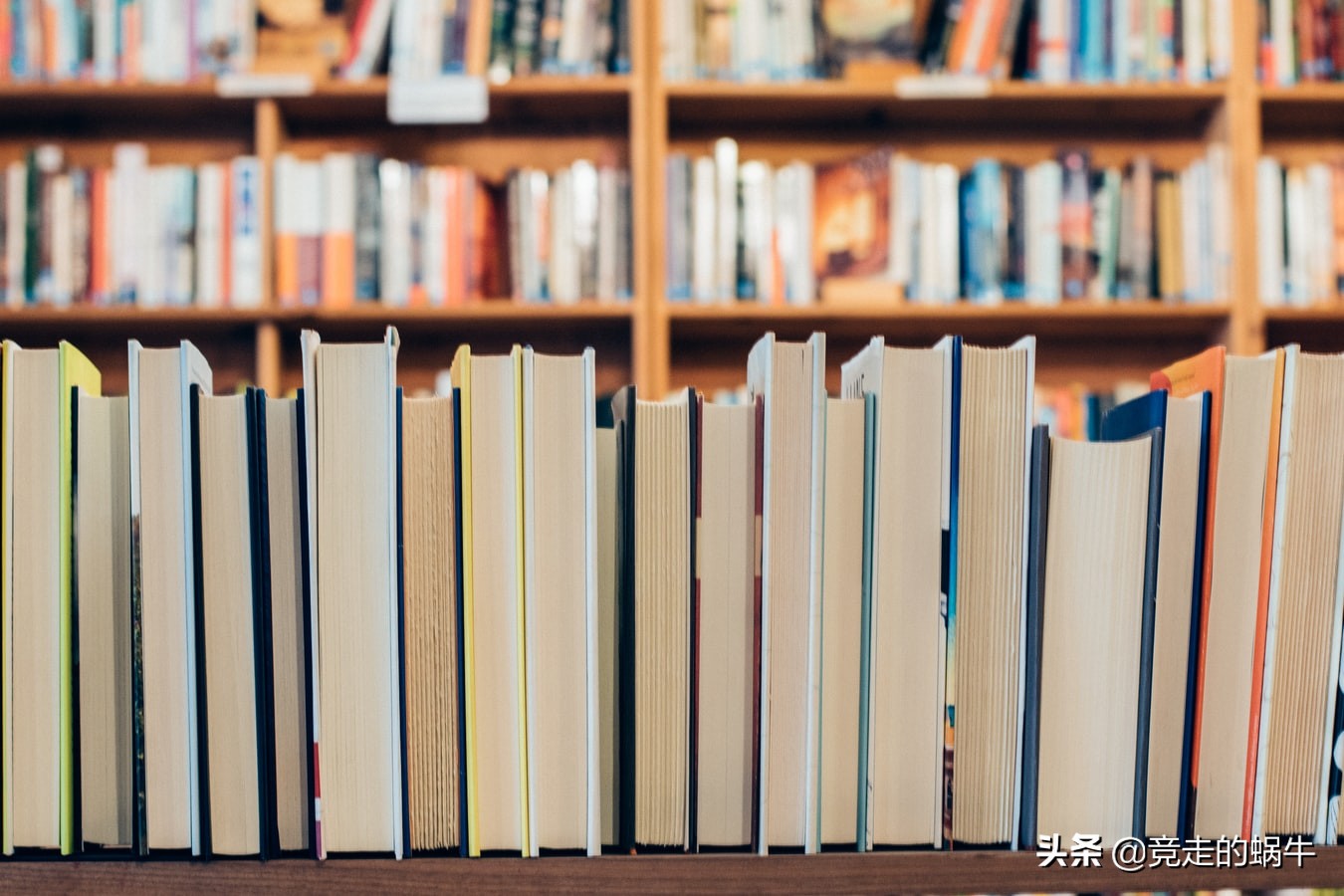 每人日均读书时间9分钟的日本，一个图书编辑的工作日常是怎样的