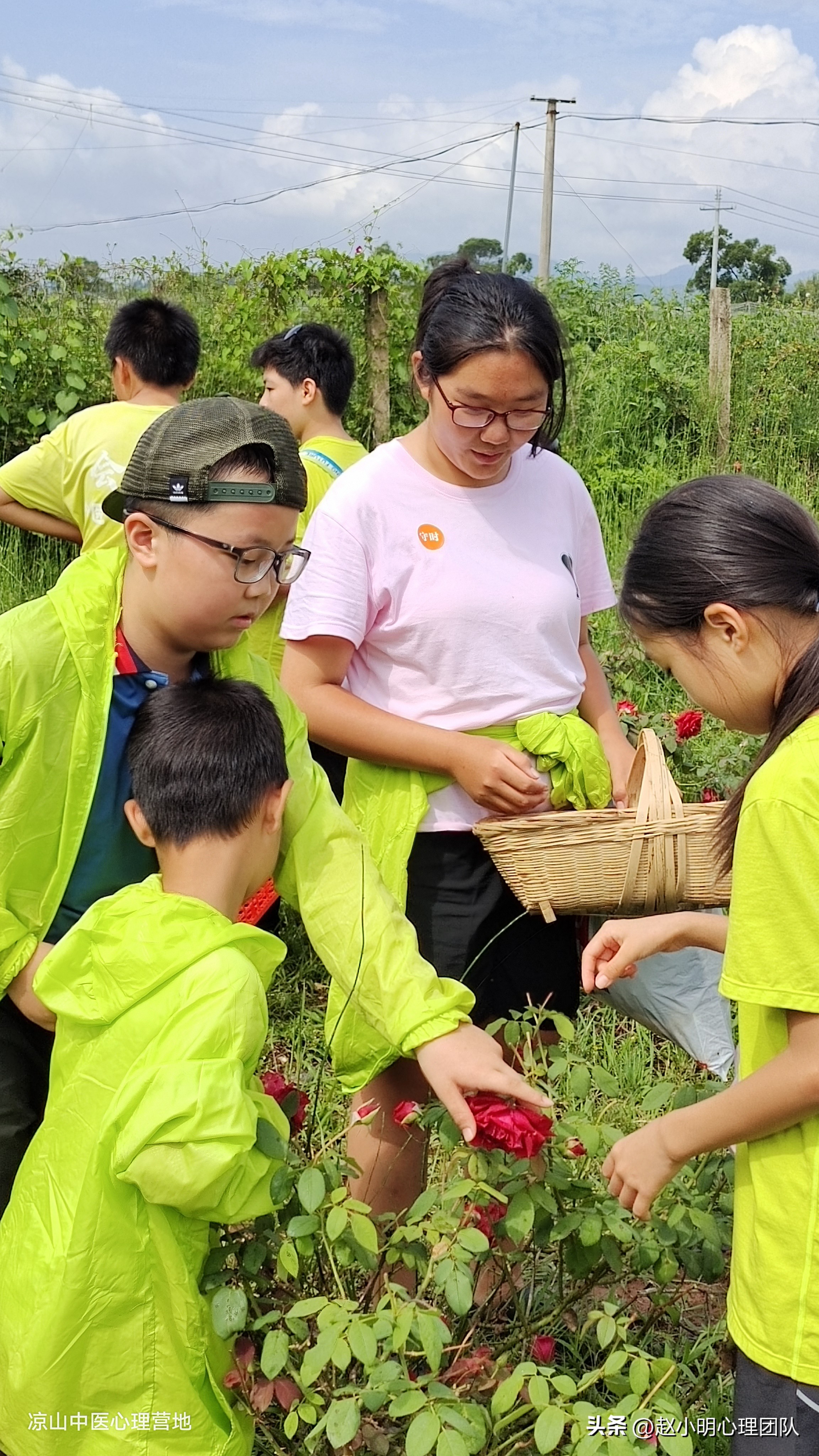 赵小明有效思维,赵小明心理学是哪个流派