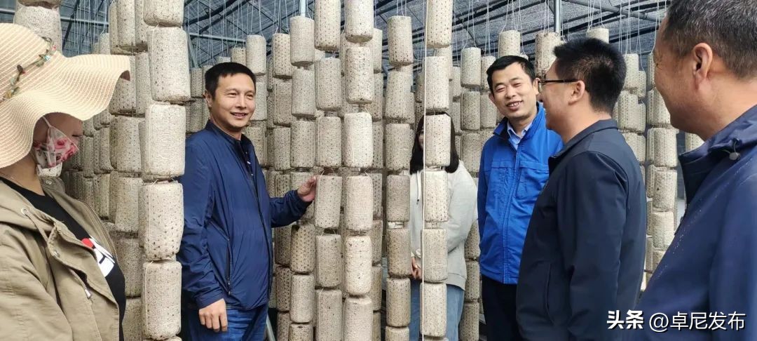 木耳种植示范村,木耳产业新模式乡村