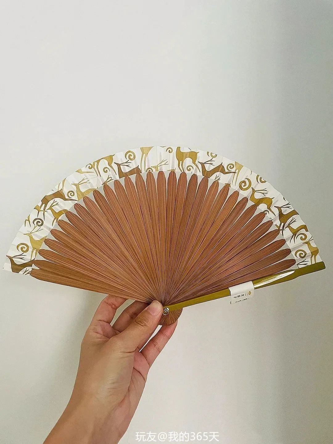 宁可食无肉不可居无竹是指竹子吗,易经说宁可食无肉不可家里无竹子