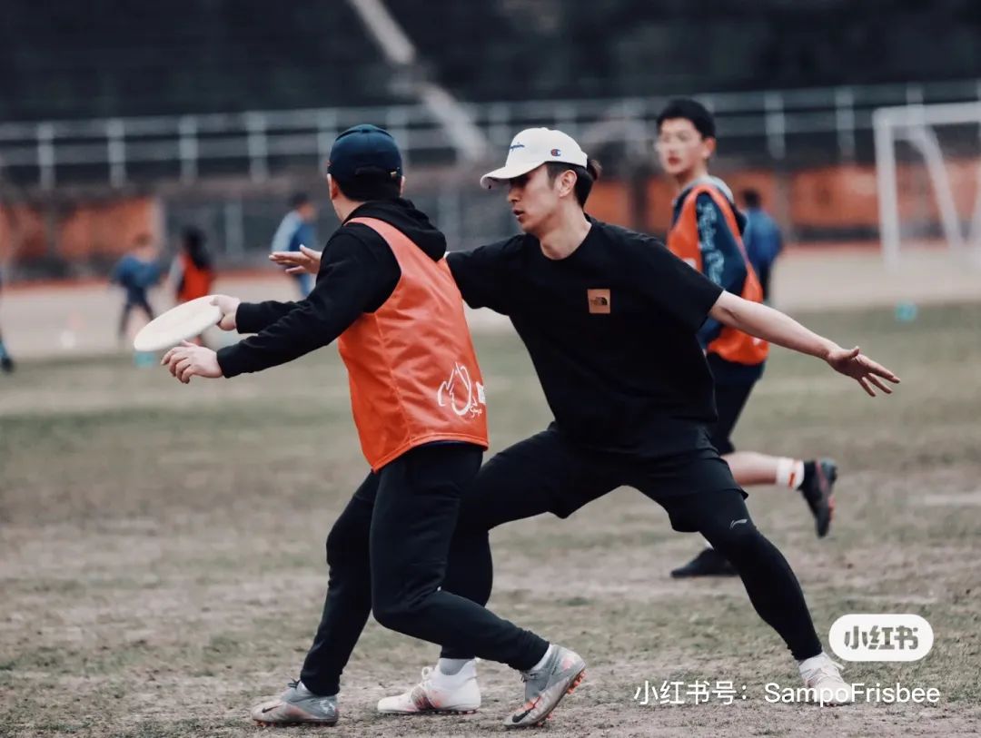 上海玩宠物,上海玩狗户外