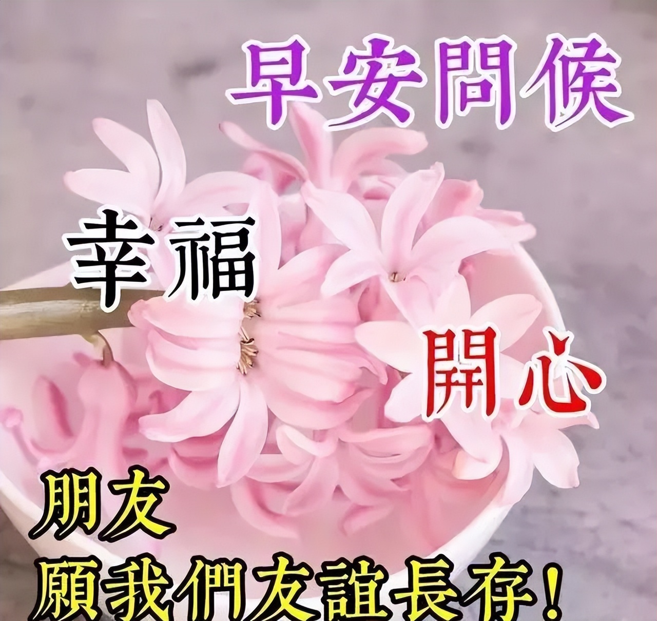 早上好最美的早安祝福表情图,早上好漂亮的早安问候动态图片