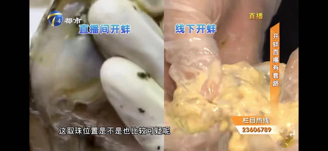 开蚌壳取珍珠一年赚多少钱,开蚌取珍珠直播大揭秘