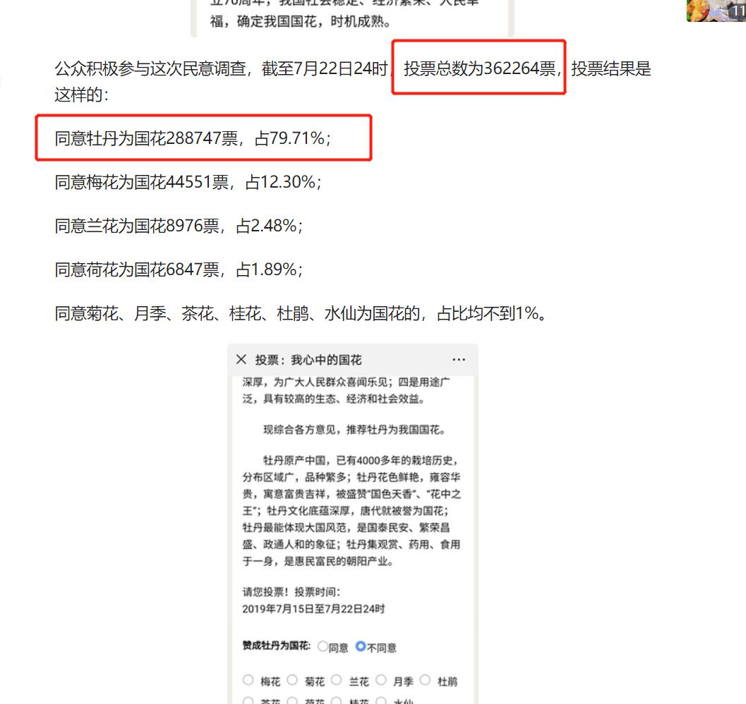 世界上那么多国家都有国花，中国为何没有？现实中真无花可替吗？