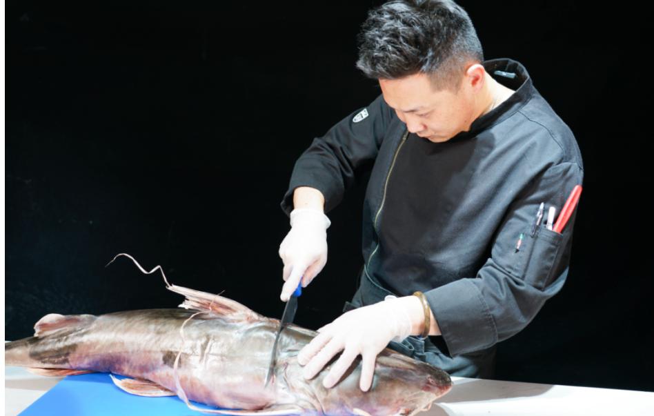 在印度是吃人水怪,在云南就是道菜!快要消失的面瓜鱼有多好吃?