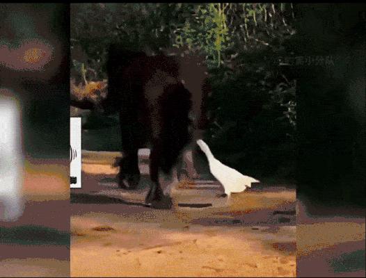 “易孕体质是种什么样的感受？”哇哈哈哈哈太真实了: