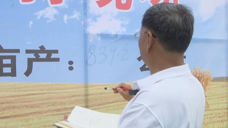 德州小麦亩产王,今年德州小麦产量