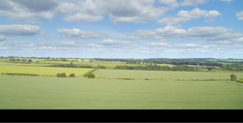 英国老汉开*博兰**基尼种地，一年才赚144英镑，把全世界观众整乐了