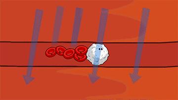 高胆固醇又称为什么,好胆固醇与坏胆固醇的区别