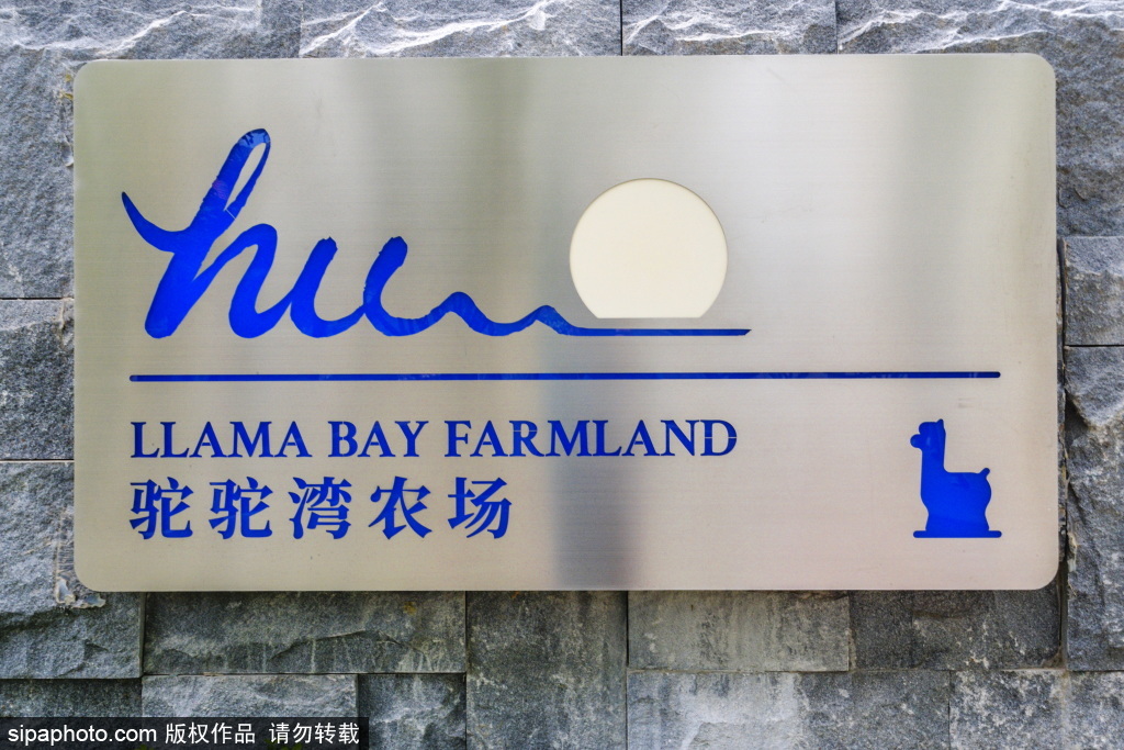 北京十个最成功的亲子农场,野趣大自然亲子农场一日游攻略