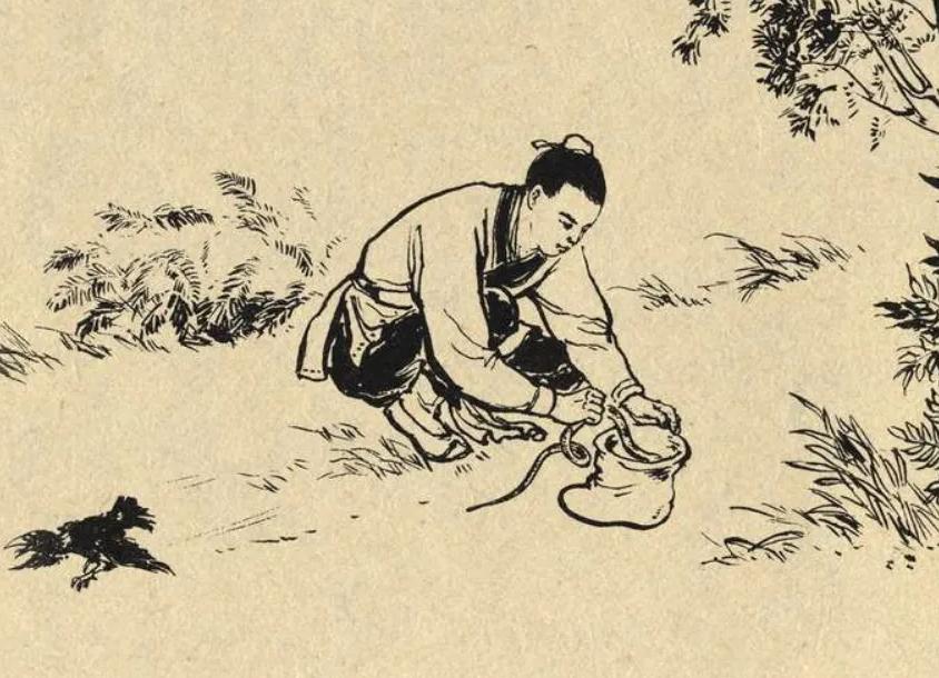 蛇为什么在一个地方不走,蛇为什么靠边走