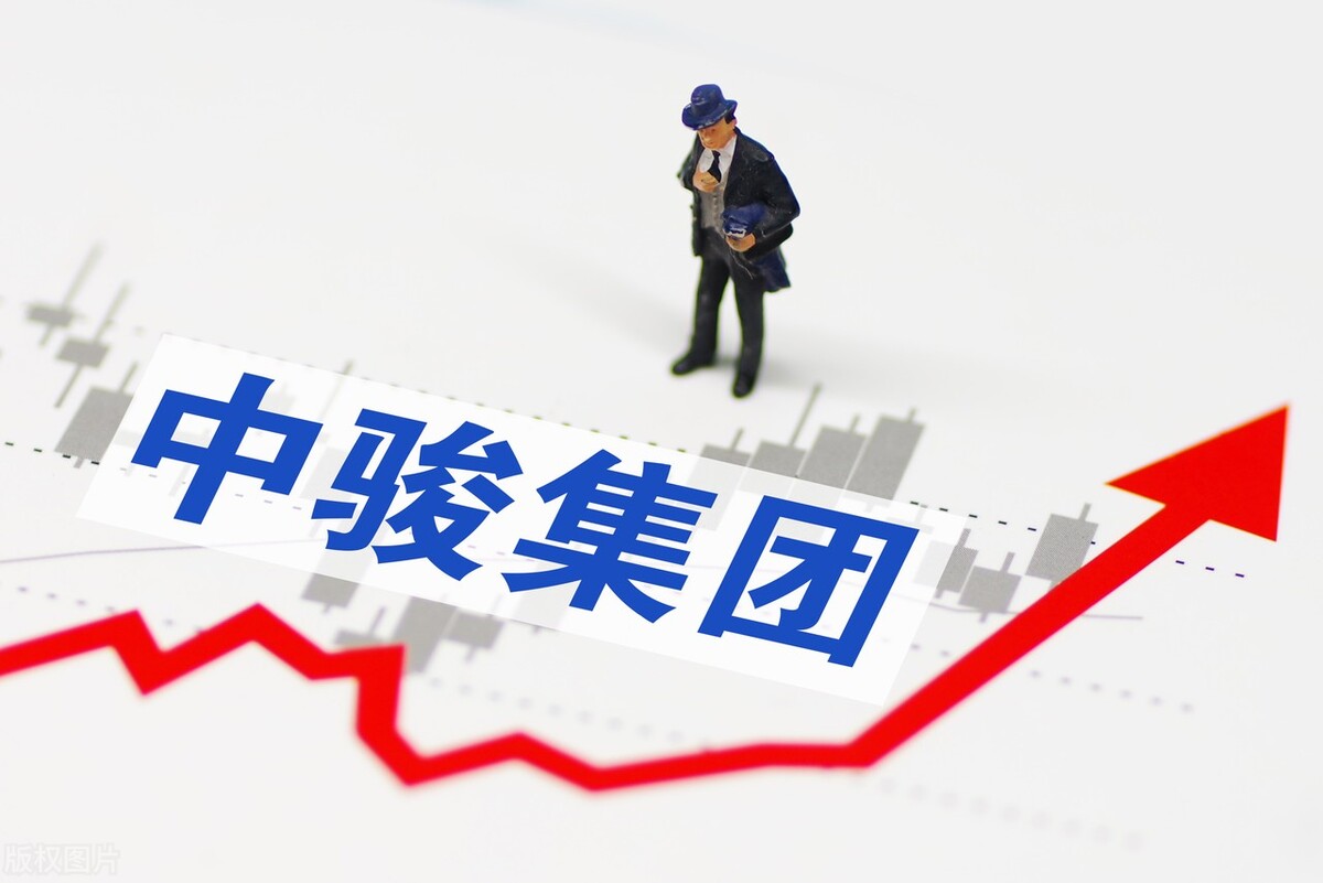 中骏集团区域公司,中国中骏集团