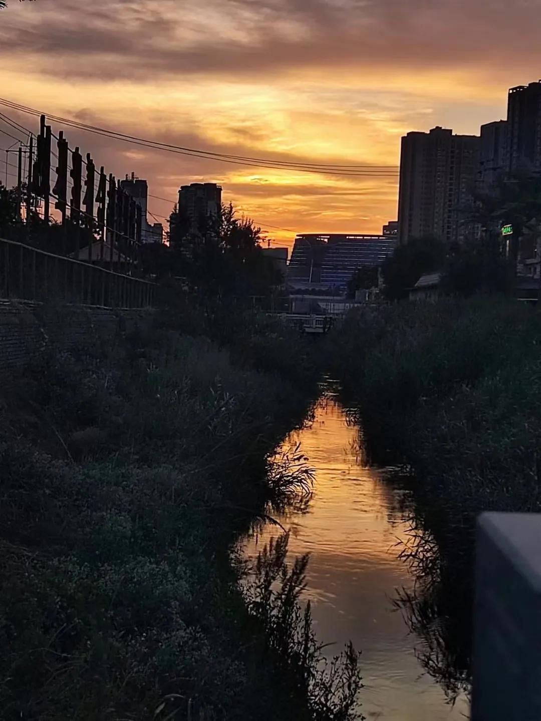 为何感情中你总是自卑敏感多疑,在感情中敏感多疑怎么办