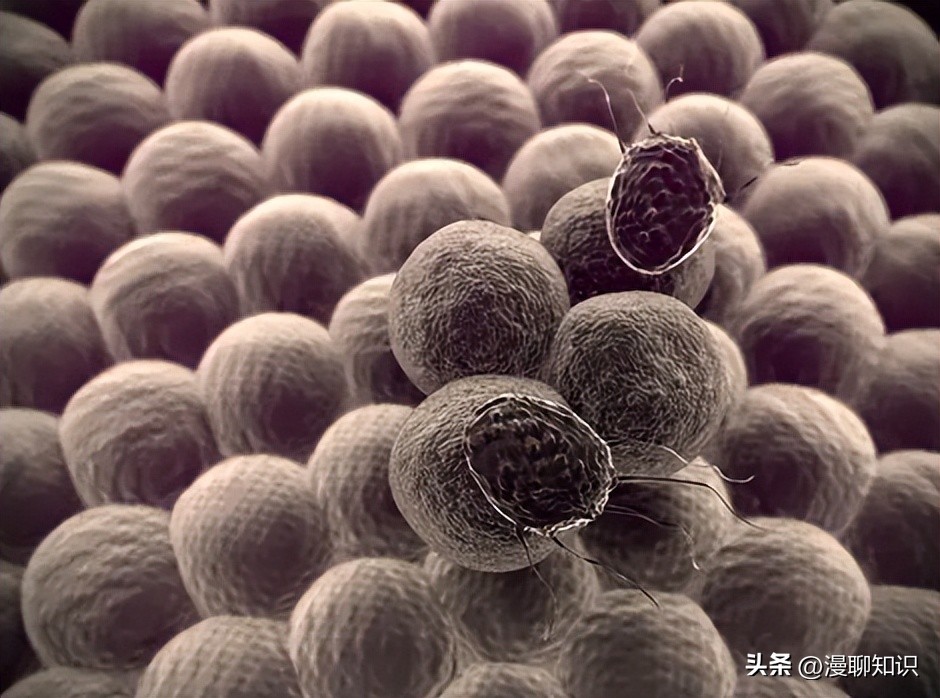 妇阴康洗剂的用途,妇阴康洗剂是抗生素药吗