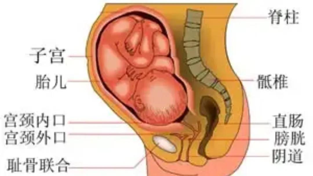 怀孕要怎么注意孕妇的情绪,怀孕初期怎么调节自己的情绪