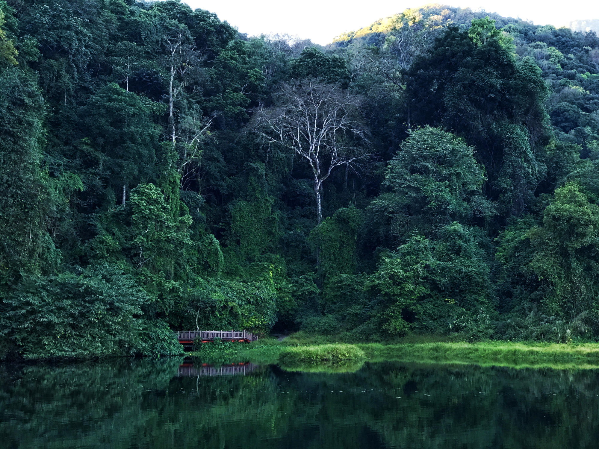冬季避寒还是得去云南西双版纳,云南版纳哪些地方值得去