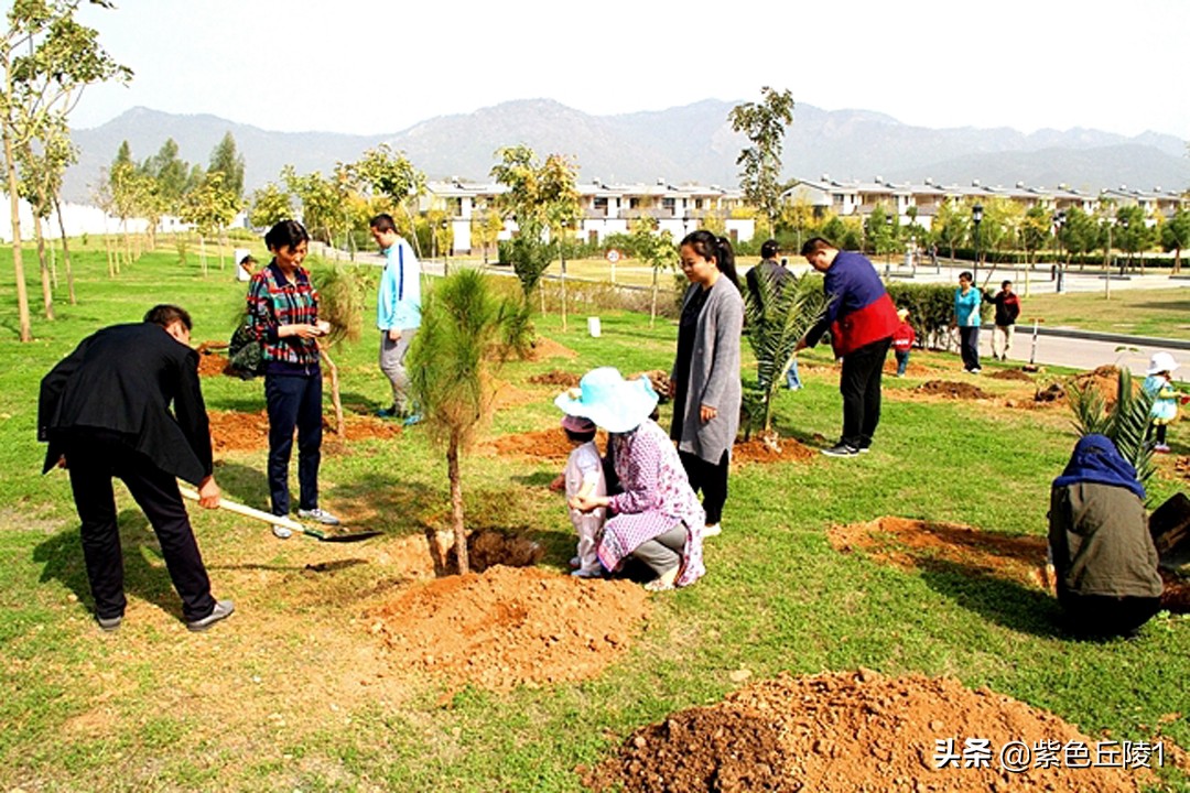 巴基斯坦中国驻外大使馆,中国大使在巴基斯坦活动