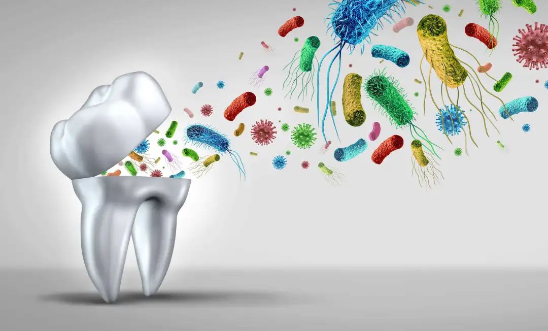 口腔菌群是什么,口腔微生物的世界
