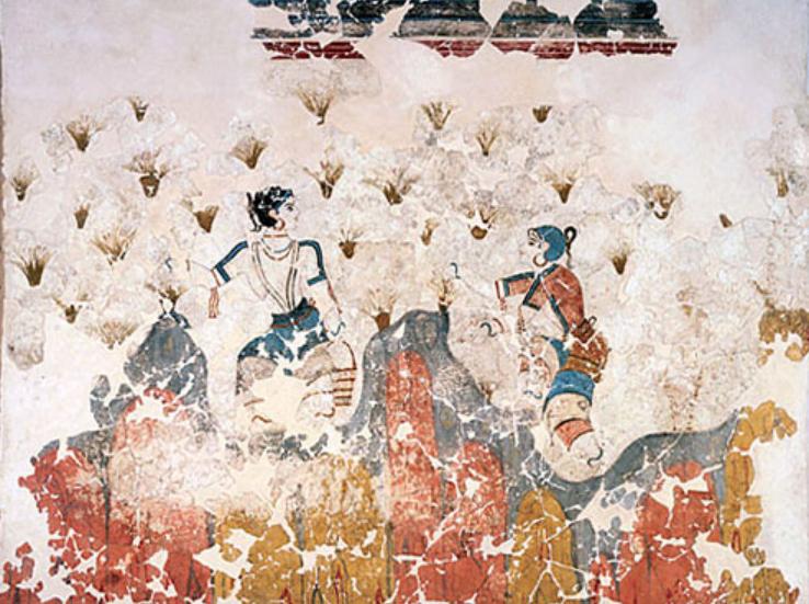 为什么国外都卖藏红花,藏红花是智商税还是真的有用