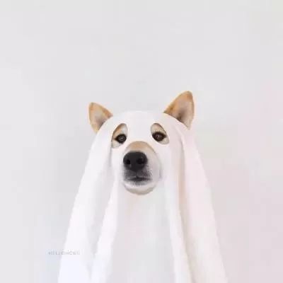 闺蜜cp头像二人一起,既是闺蜜头像又是情侣头像可保存