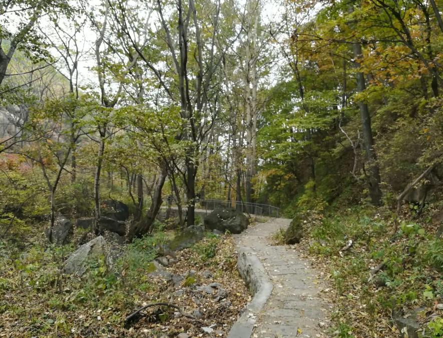 苗雨时郁葱||“燕赵七子”诗歌创作总论（下）