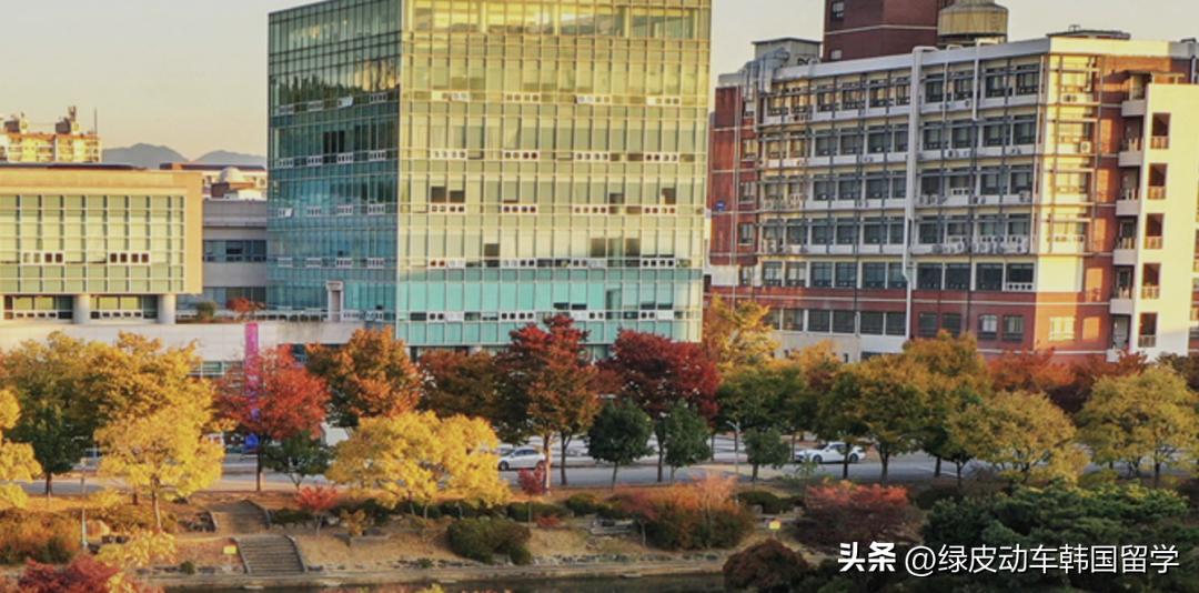 韩国国立大学和哪个学校合作,韩国十所大学