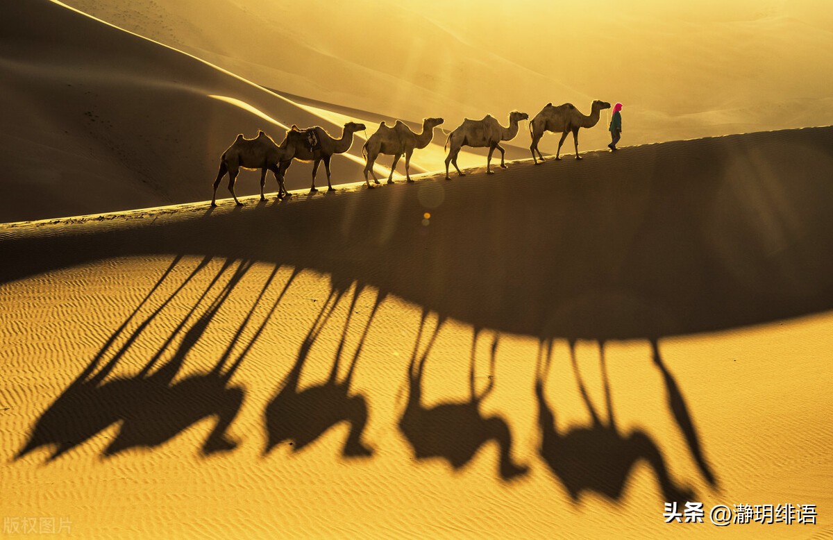 你一定要做一个自信的自己,做个独立又自信的自己