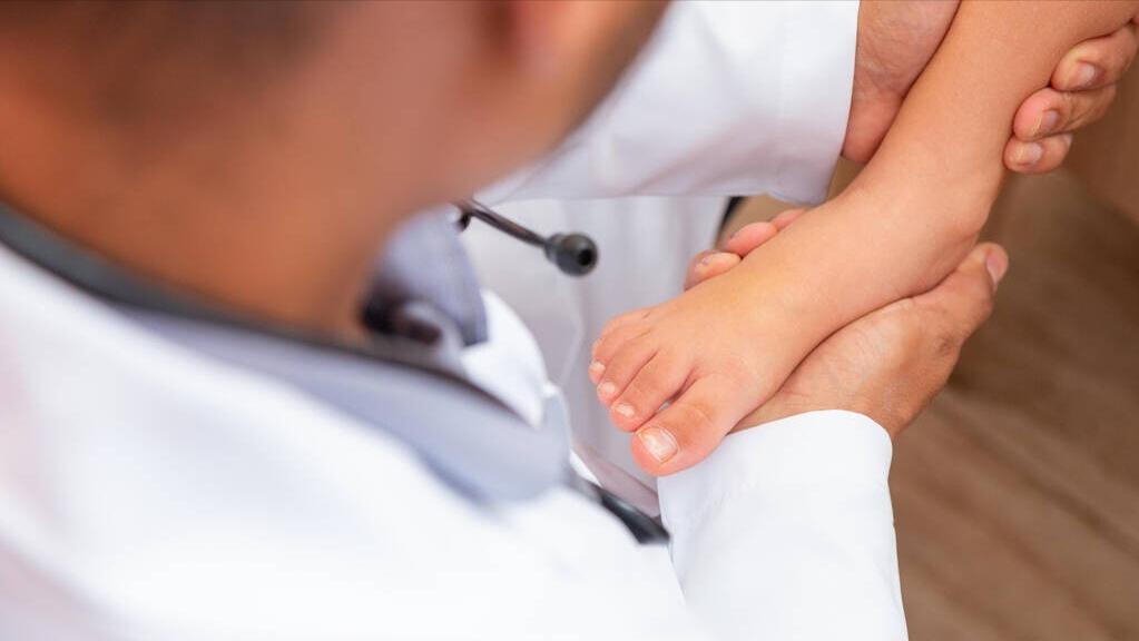 一张图告诉你人体有多少块骨头,206块骨头为什么只有204块