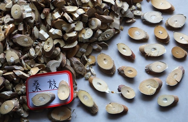 祛风湿中草药功效大全一览表,祛风湿的中药特效药