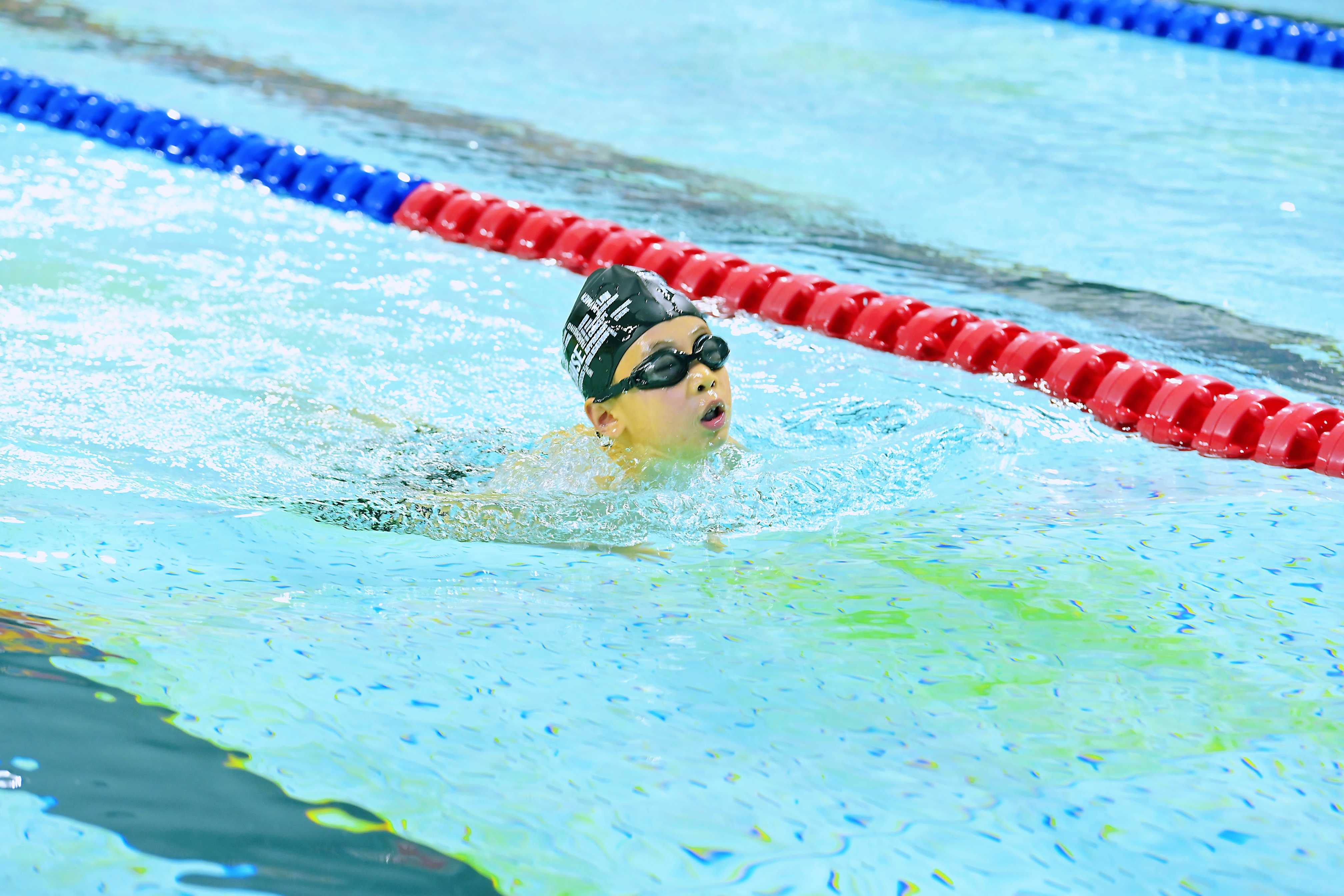 成都金海豚游泳达标赛,金海豚游泳达标证书