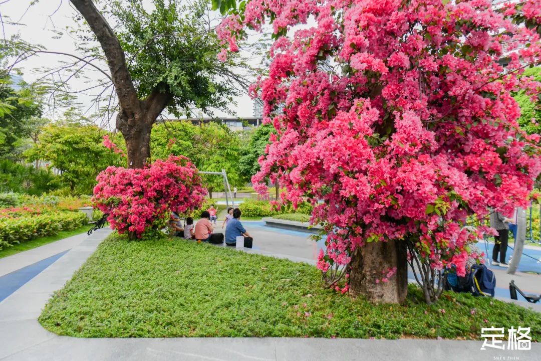 深圳周末带孩子免费游玩好去处,周末去哪玩推荐深圳