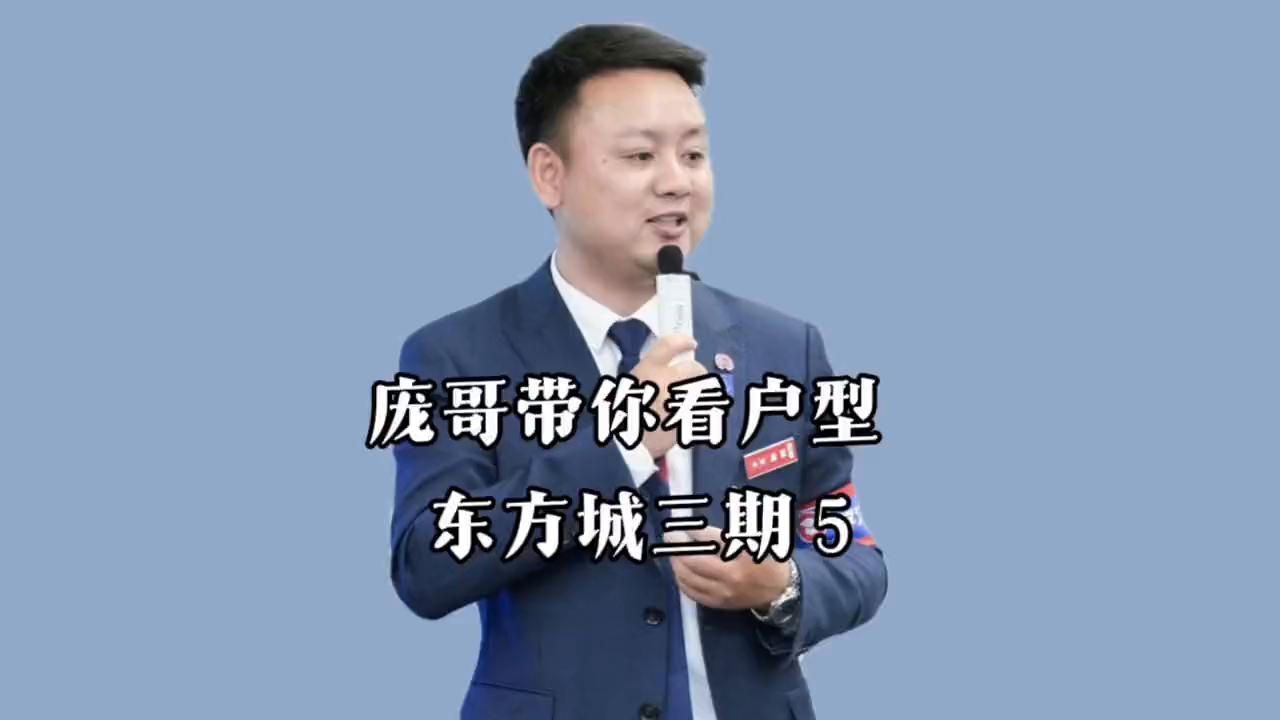 庞哥带你看户型东方城三期5