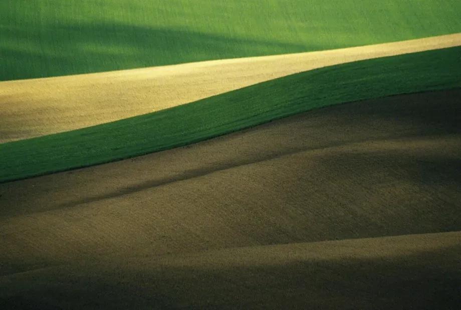 生活本来就是没有意义的,生活不止眼前的苟且还有诗与远方