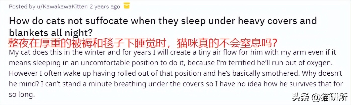 冬天猫咪一直睡觉无精打采,冬天猫咪睡觉会感觉冷吗