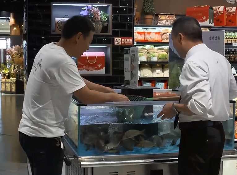 小伙创业一亩田养鱼能挣多少钱,年赚600万的稻田养鱼