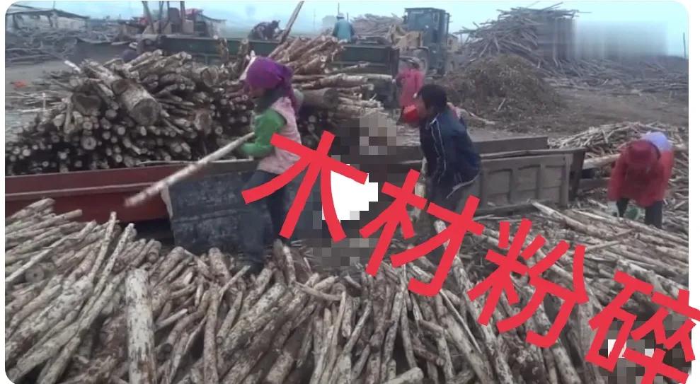 粉碎木材能干啥,木材粉碎加工厂利润