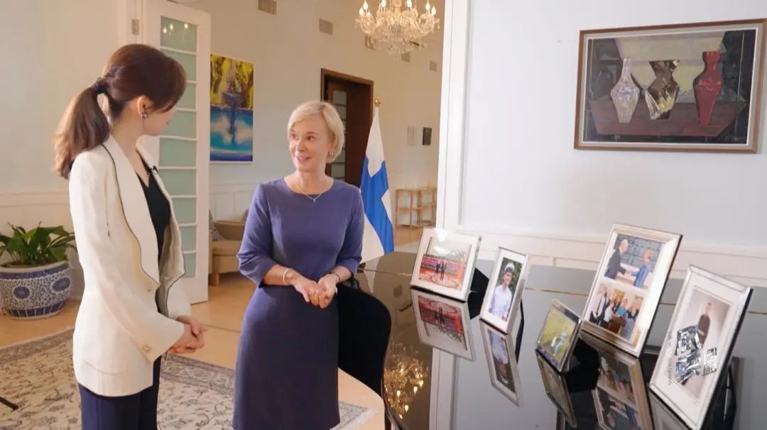 芬兰出席北约峰会,中国驻芬兰大使北约