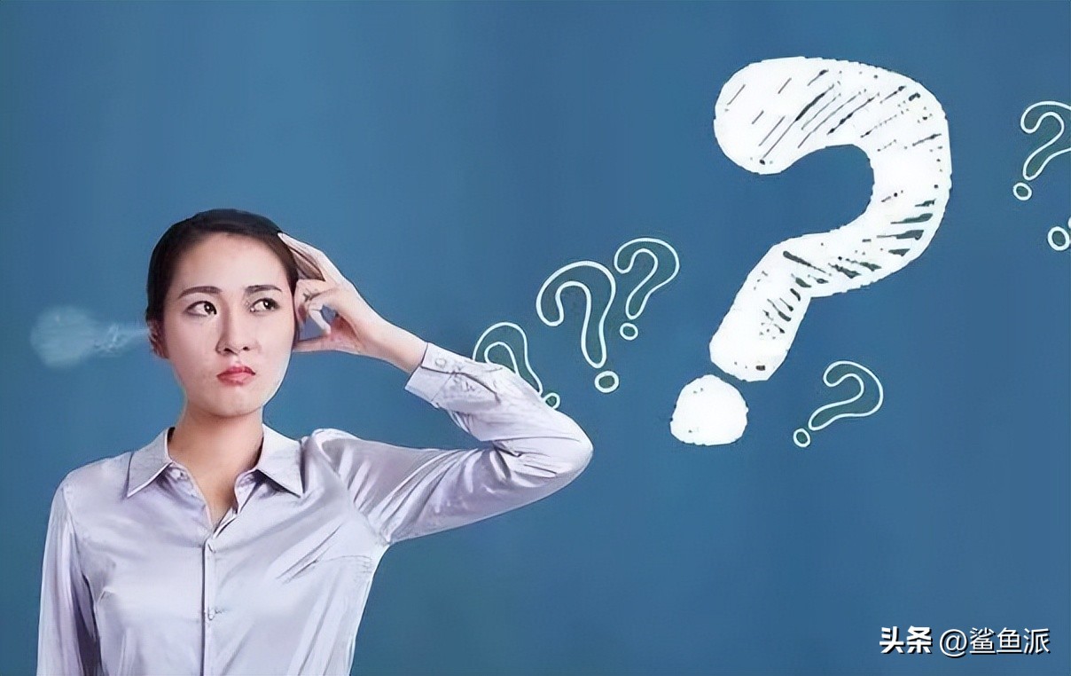 鲨鱼哥创业方案,鲨鱼哥创业模式