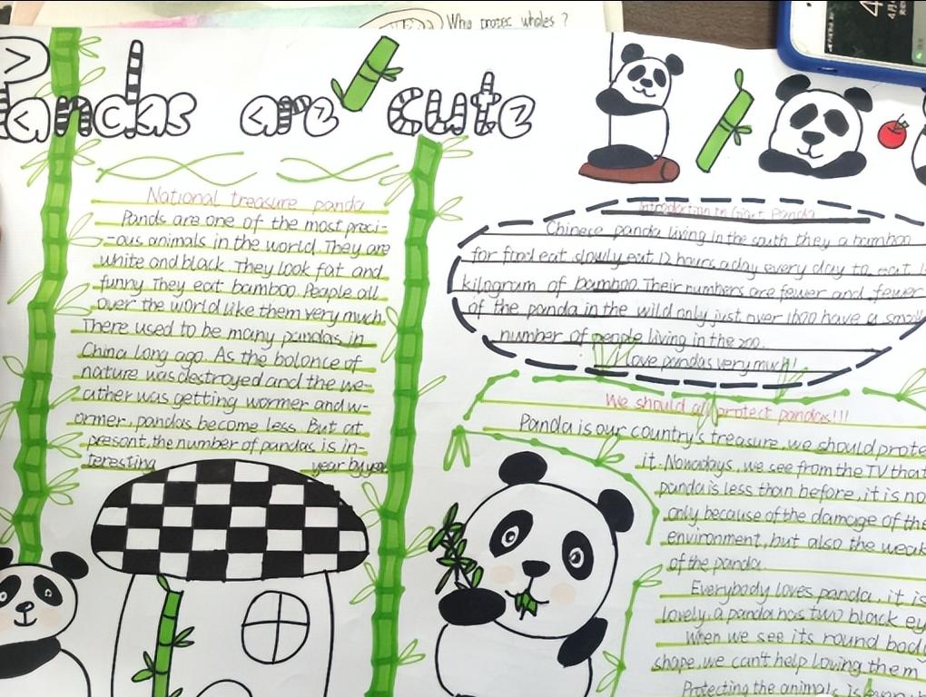 保护动物手抄报英语一等奖五年级,英语保护动物倡议手抄报