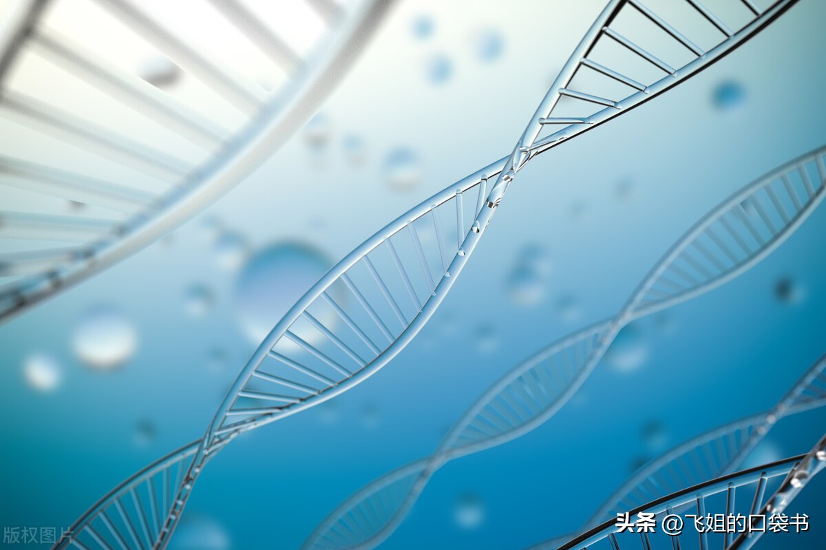 成人自学初中数学用什么教材,成人小学数学自学方法