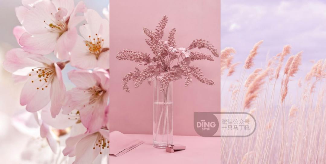 夏日穿搭色彩搭配,2021夏日高级感配色