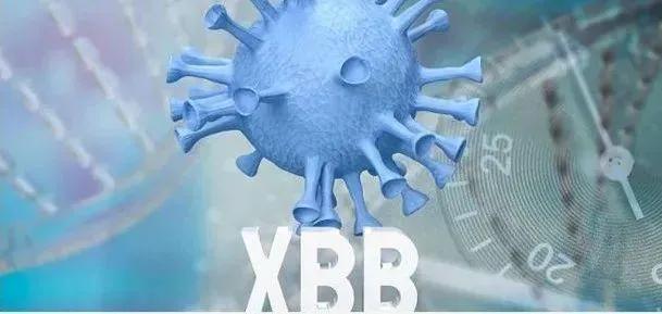 二阳各种症状吃什么药效果最好,专家说二阳必备3种药是什么