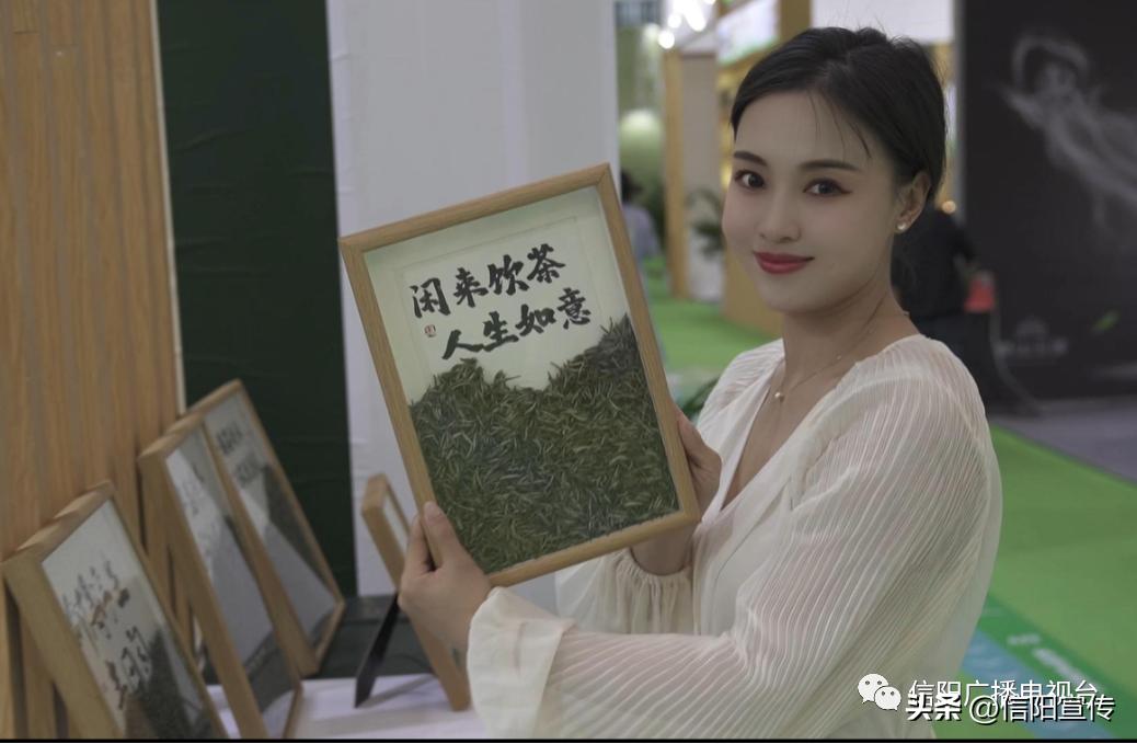 新体验新方式,信阳广播电视台宣传片