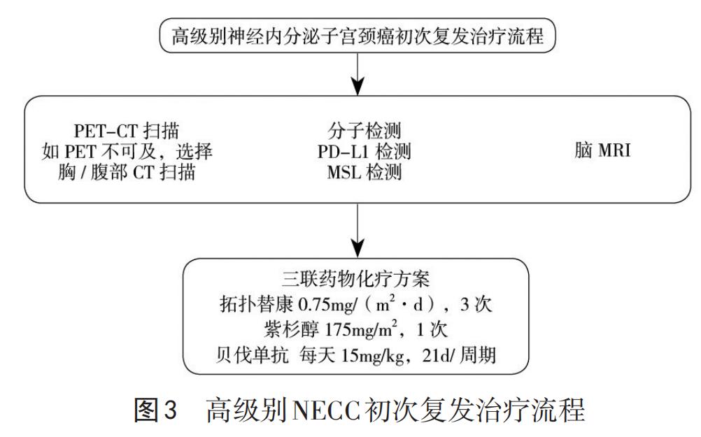 宫颈癌派特生物,派特生物治疗图片