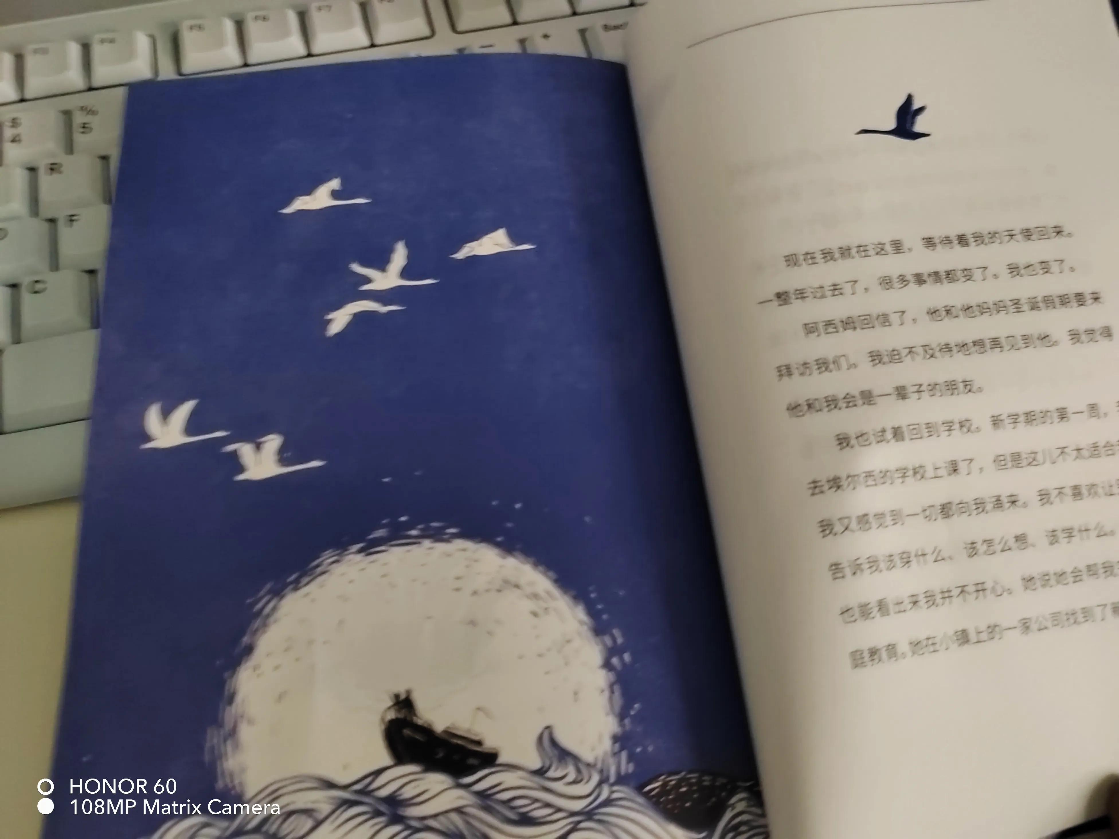 迪伦的长假,迪伦的长假儿童文学