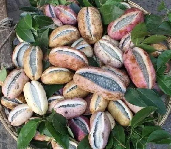 这4类东西不建议在网上买,这四种东西不要买