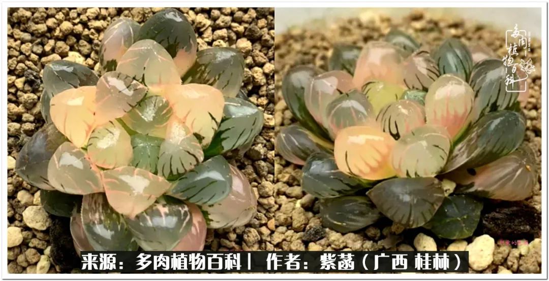 酷暑送清凉关爱入心田,酷暑慰问暖人心