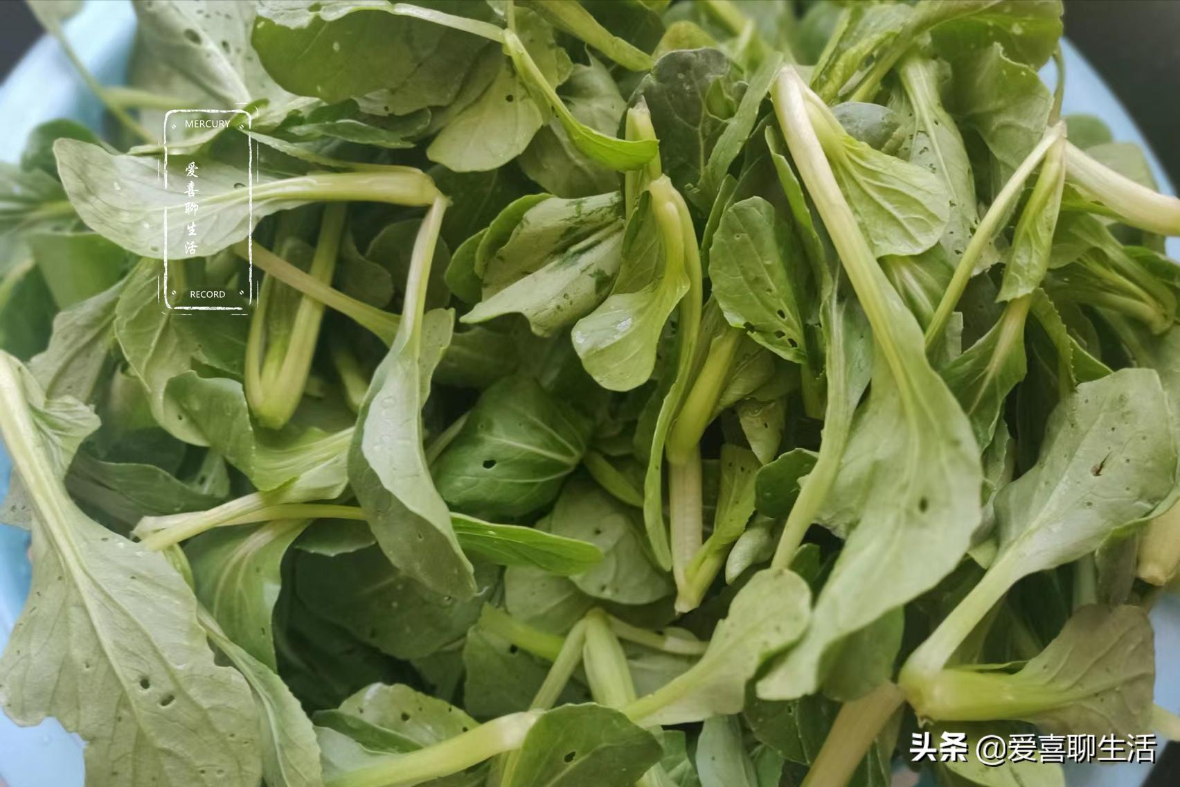 谷雨适合吃哪些家常菜,谷雨家常菜做法大全