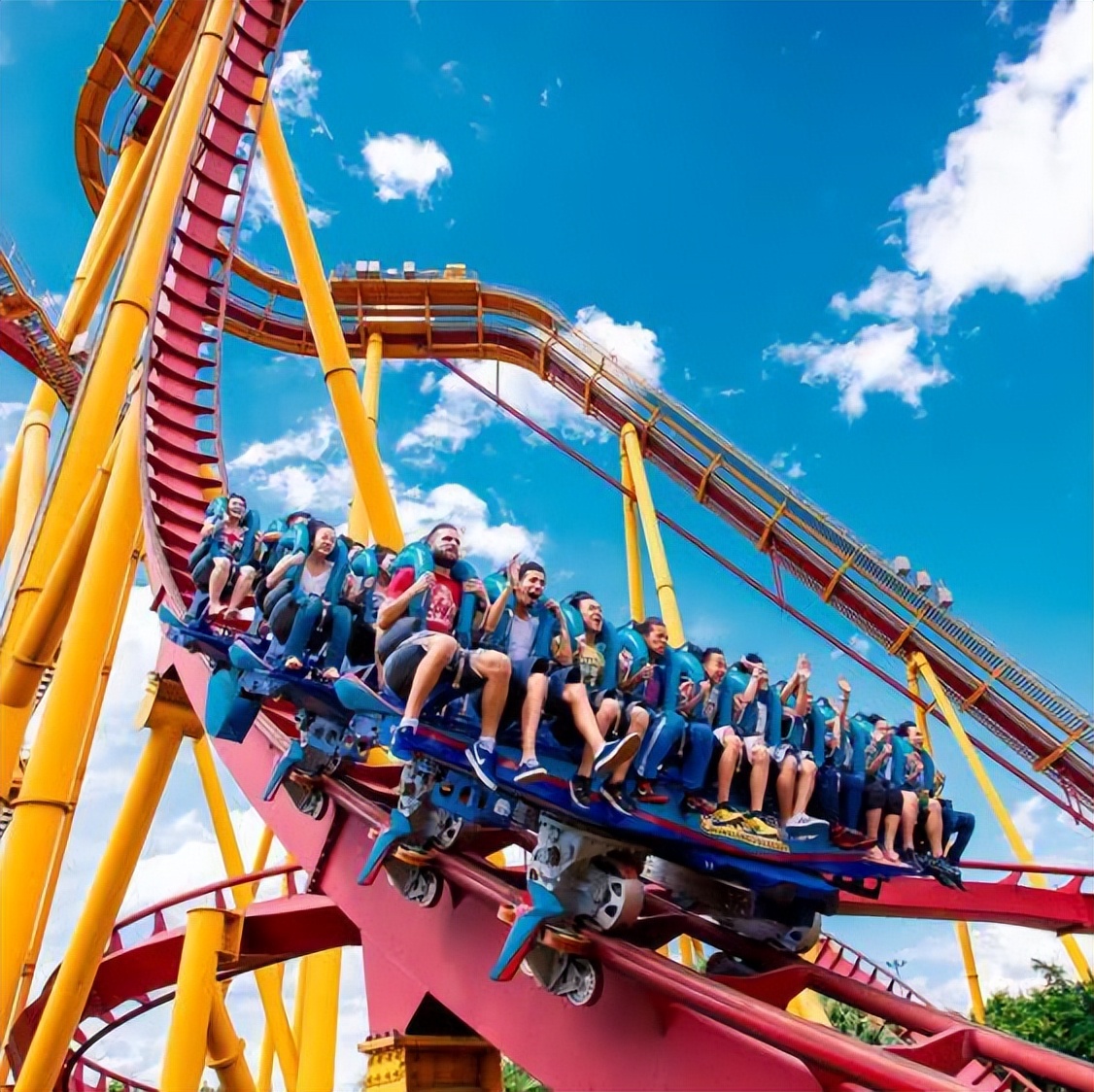 广州长隆熊猫酒店蝴蝶谷,广州长隆熊猫主题酒店五一